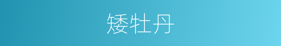 矮牡丹的同义词