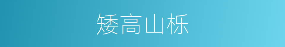矮高山栎的同义词