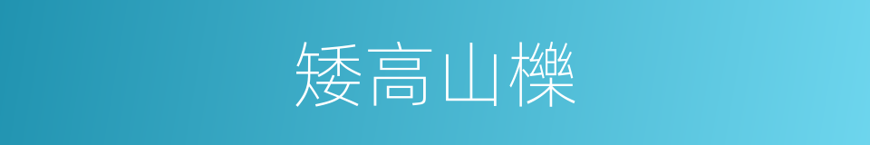 矮高山櫟的同義詞