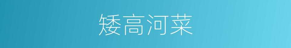 矮高河菜的同义词