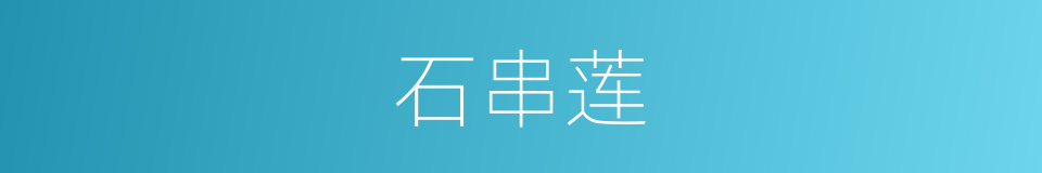 石串莲的同义词