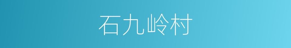 石九岭村的同义词