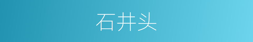 石井头的同义词