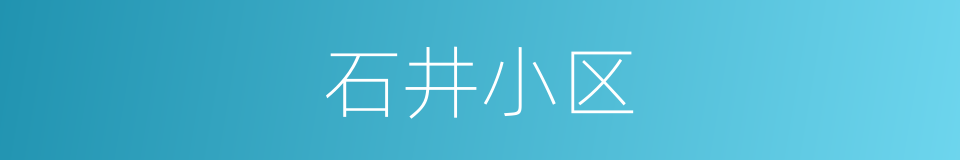 石井小区的同义词