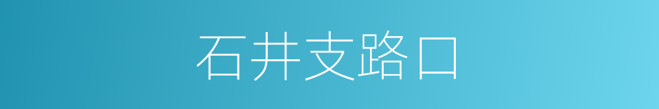 石井支路口的同义词