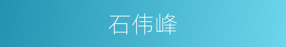 石伟峰的同义词