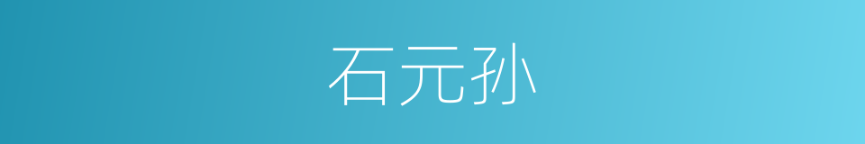 石元孙的同义词