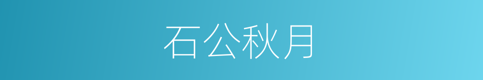 石公秋月的同义词