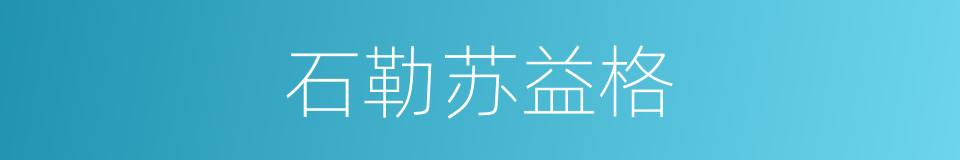 石勒苏益格的同义词