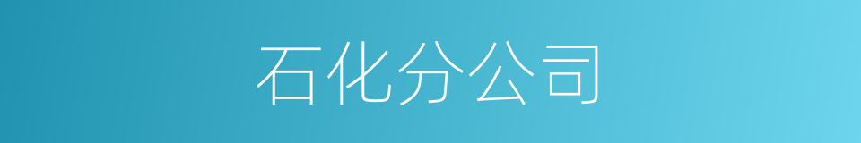 石化分公司的同义词