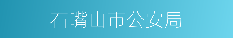 石嘴山市公安局的同义词