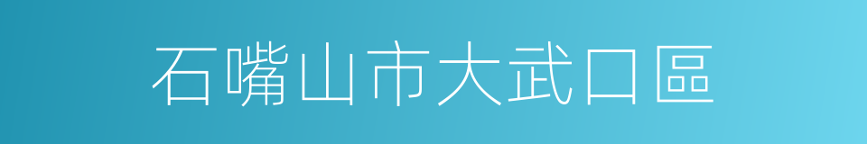 石嘴山市大武口區的同義詞