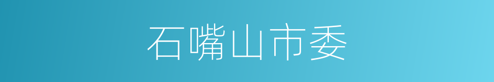 石嘴山市委的同义词