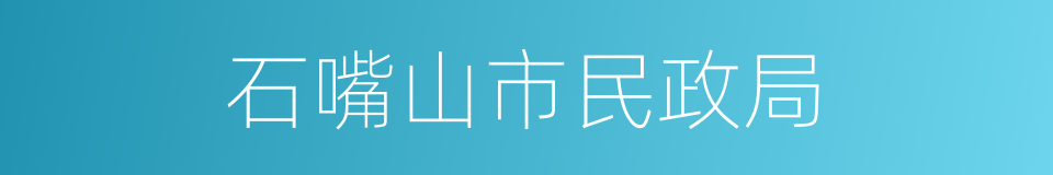 石嘴山市民政局的同义词