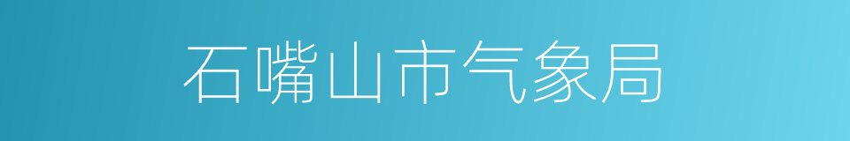 石嘴山市气象局的同义词