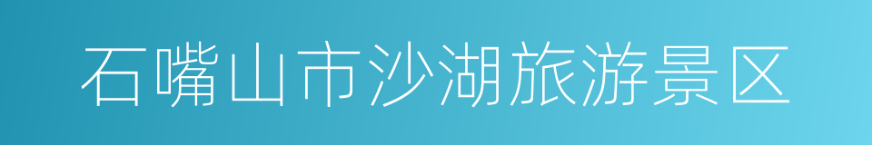 石嘴山市沙湖旅游景区的同义词