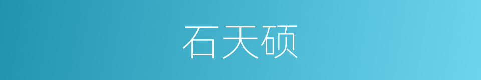 石天硕的同义词