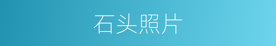 石头照片的同义词