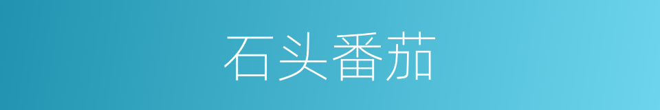 石头番茄的同义词