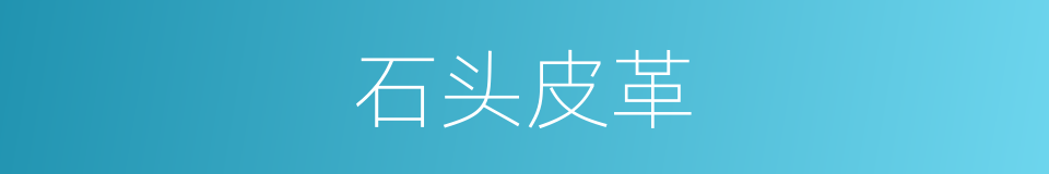 石头皮革的意思
