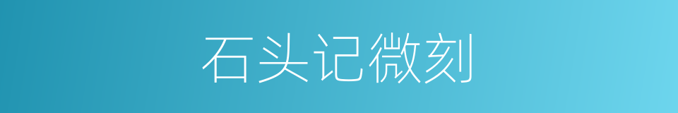 石头记微刻的同义词