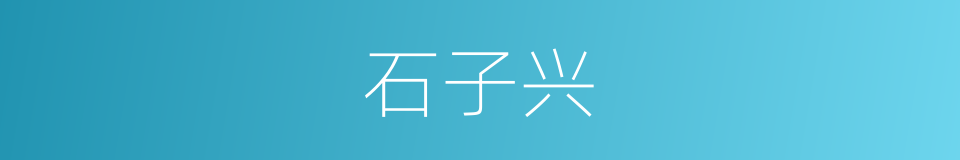 石子兴的同义词