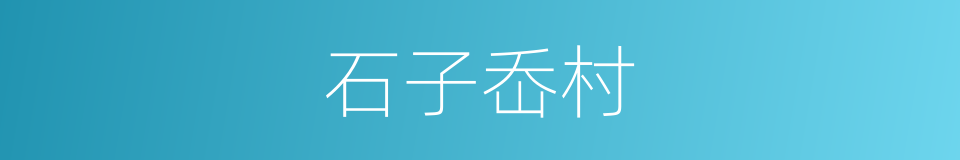 石子岙村的同义词