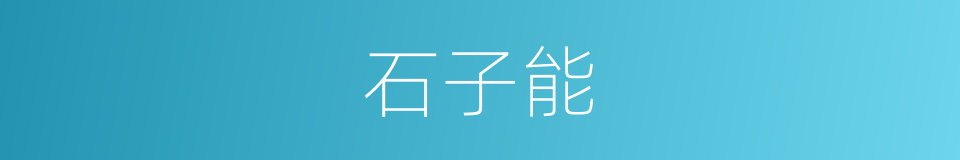 石子能的同义词