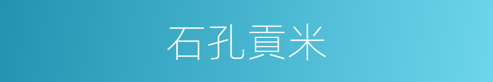 石孔貢米的意思