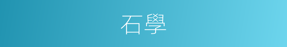 石學的同義詞