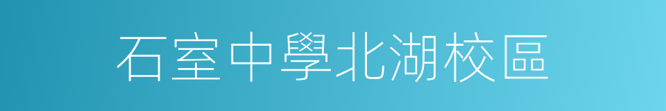 石室中學北湖校區的同義詞