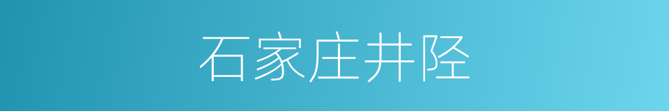 石家庄井陉的同义词