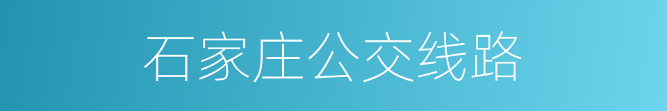 石家庄公交线路的同义词