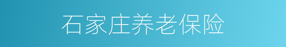 石家庄养老保险的同义词