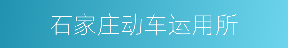 石家庄动车运用所的同义词