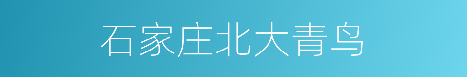 石家庄北大青鸟的同义词