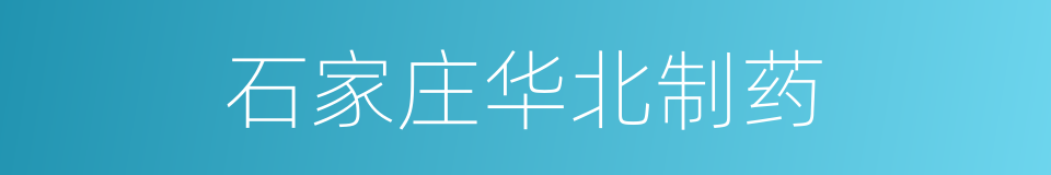 石家庄华北制药的同义词