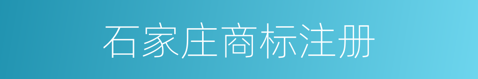 石家庄商标注册的同义词