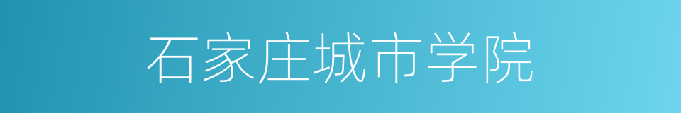 石家庄城市学院的同义词