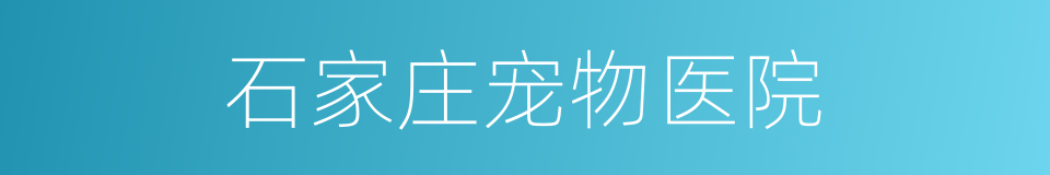 石家庄宠物医院的同义词