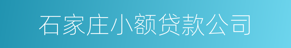 石家庄小额贷款公司的同义词