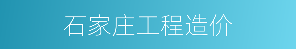 石家庄工程造价的同义词