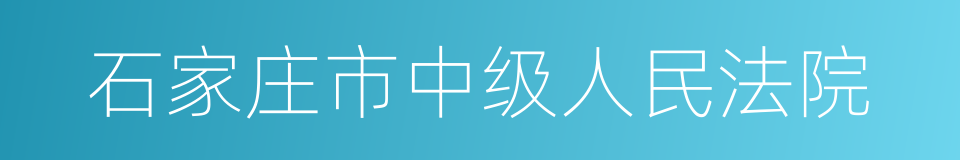 石家庄市中级人民法院的同义词