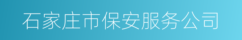 石家庄市保安服务公司的同义词