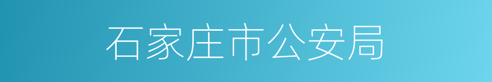 石家庄市公安局的同义词