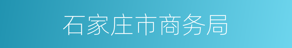 石家庄市商务局的同义词