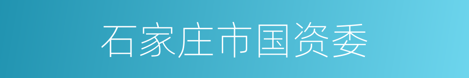 石家庄市国资委的同义词