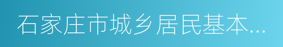 石家庄市城乡居民基本医疗保险实施办法的同义词
