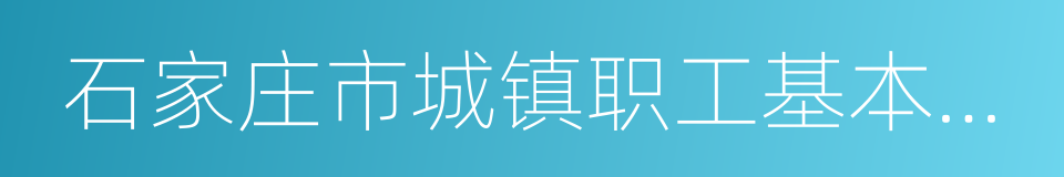 石家庄市城镇职工基本医疗保险实施办法的同义词