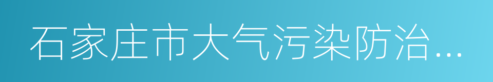 石家庄市大气污染防治条例的同义词